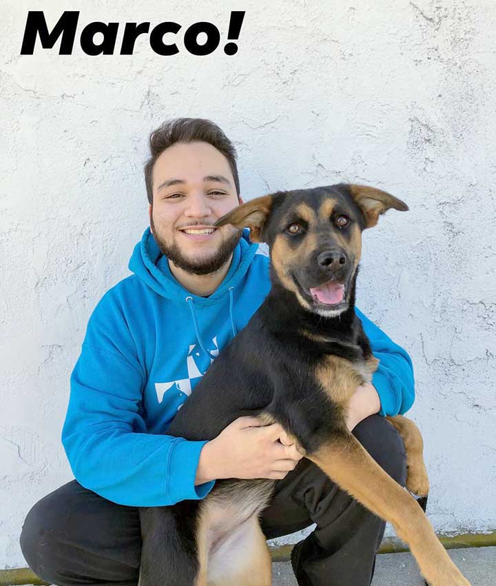 Marco